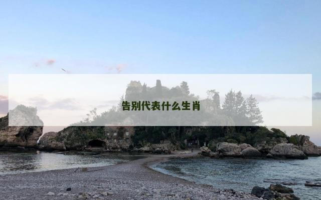 告别代表什么生肖
