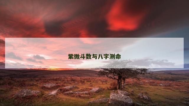 紫微斗数与八字测命
