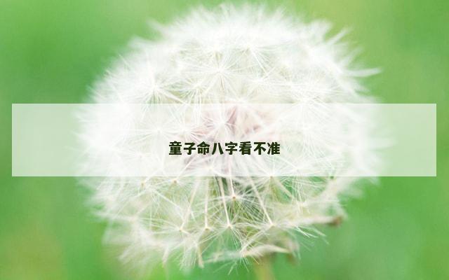 童子命八字看不准