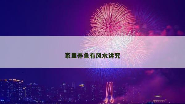 家里养鱼有风水讲究