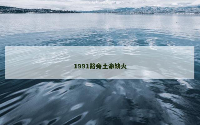 1991路旁土命缺火