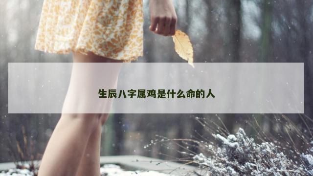 生辰八字属鸡是什么命的人