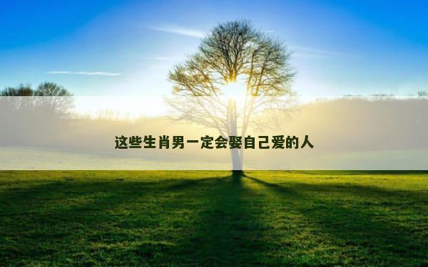 这些生肖男一定会娶自己爱的人