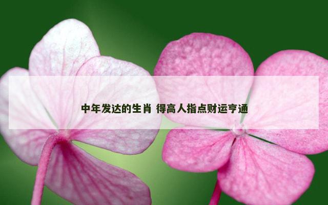 中年发达的生肖 得高人指点财运亨通