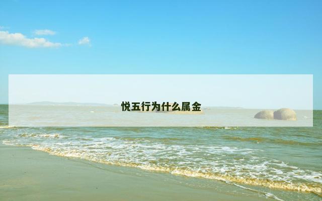 悦五行为什么属金