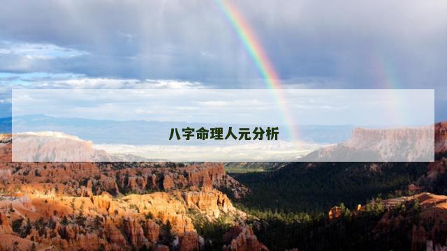 八字命理人元分析