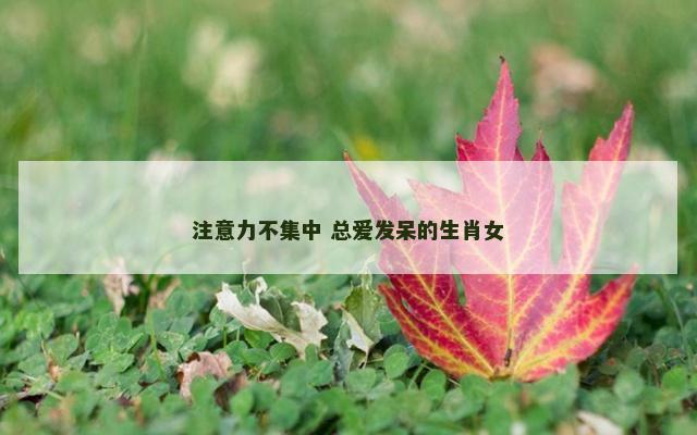 注意力不集中 总爱发呆的生肖女