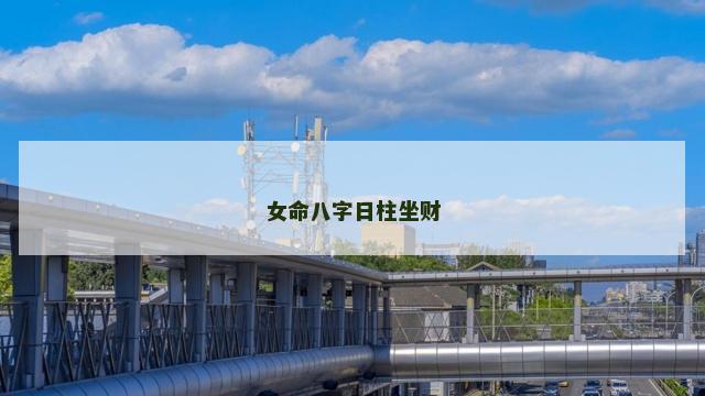 女命八字日柱坐财