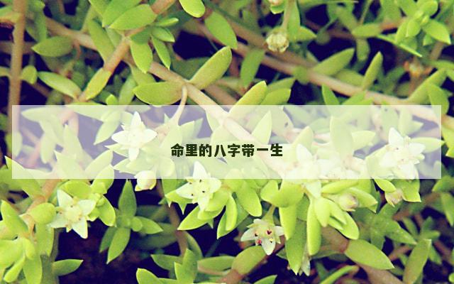 命里的八字带一生