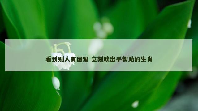 看到别人有困难 立刻就出手帮助的生肖