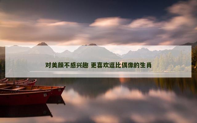 对美颜不感兴趣 更喜欢逗比偶像的生肖
