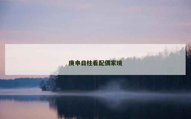 庚申日柱看配偶家境