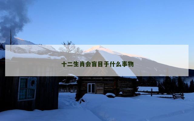 十二生肖会盲目于什么事物
