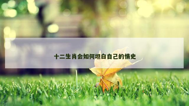 十二生肖会如何坦白自己的情史