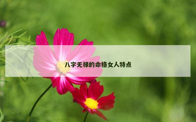 八字无禄的命格女人特点