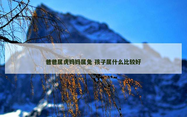 爸爸属虎妈妈属兔 孩子属什么比较好