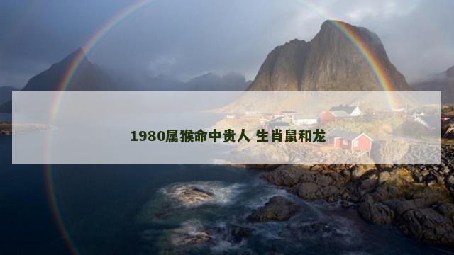 1980属猴命中贵人 生肖鼠和龙