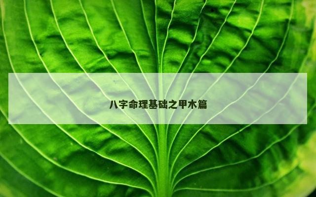 八字命理基础之甲木篇