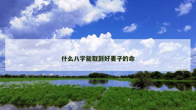 什么八字能取到好妻子的命