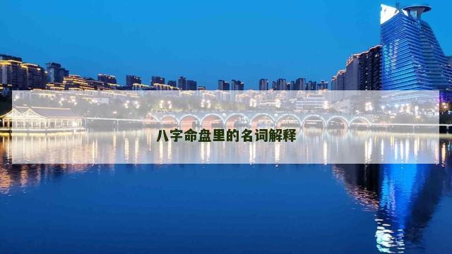 八字命盘里的名词解释