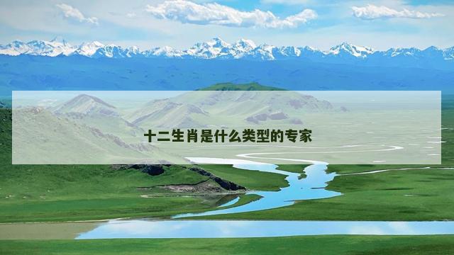 十二生肖是什么类型的专家
