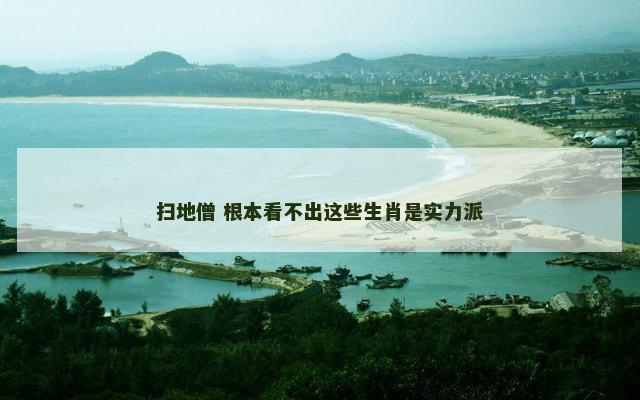 扫地僧 根本看不出这些生肖是实力派