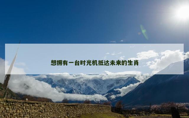 想拥有一台时光机抵达未来的生肖