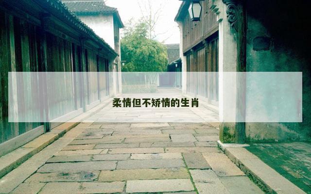 柔情但不矫情的生肖