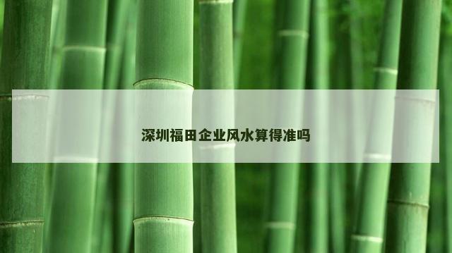 深圳福田企业风水算得准吗