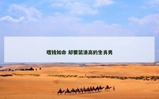 嗜钱如命 却要装清高的生肖男