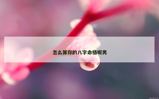 怎么算你的八字命格呢男