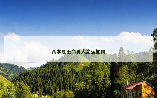 八字属土命男人命运如何