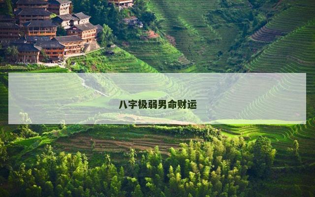 八字极弱男命财运