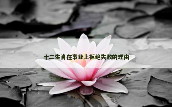 十二生肖在事业上拒绝失败的理由
