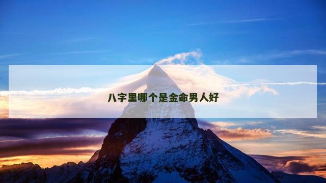 八字里哪个是金命男人好