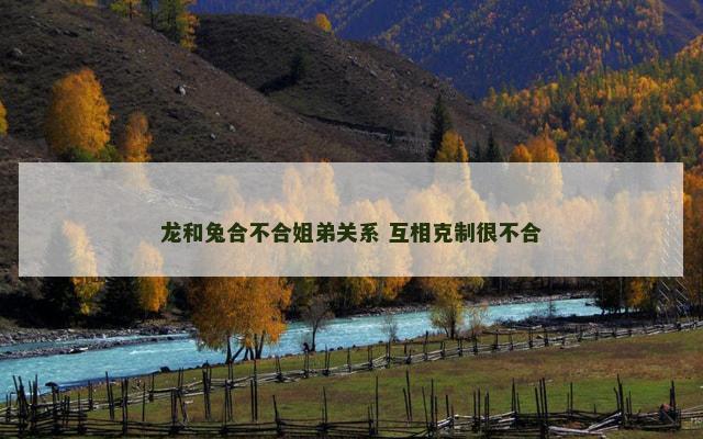 龙和兔合不合姐弟关系 互相克制很不合