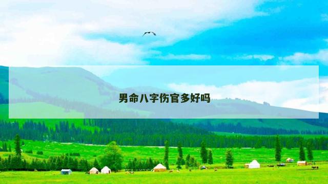 男命八字伤官多好吗