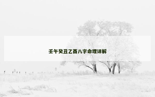 壬午癸丑乙酉八字命理详解