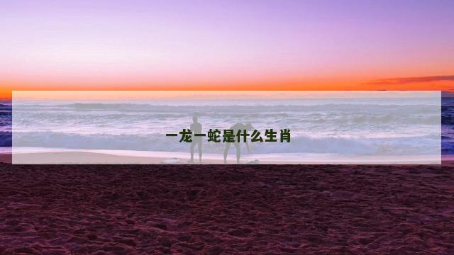 一龙一蛇是什么生肖