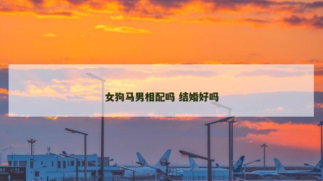 女狗马男相配吗 结婚好吗