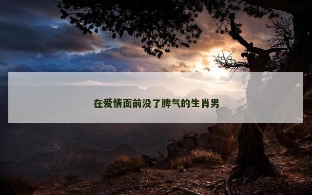 在爱情面前没了脾气的生肖男