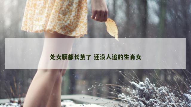 处女膜都长茧了 还没人追的生肖女