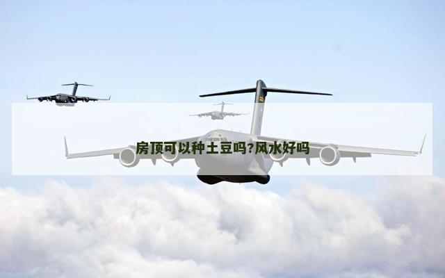 房顶可以种土豆吗?风水好吗