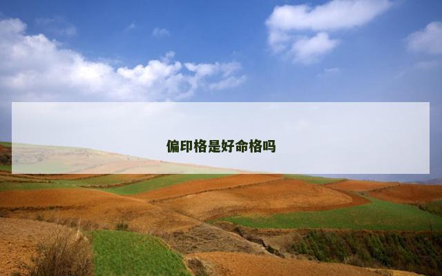 偏印格是好命格吗