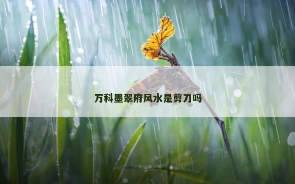 万科墨翠府风水是剪刀吗