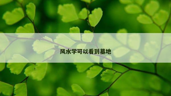 风水学可以看到墓地