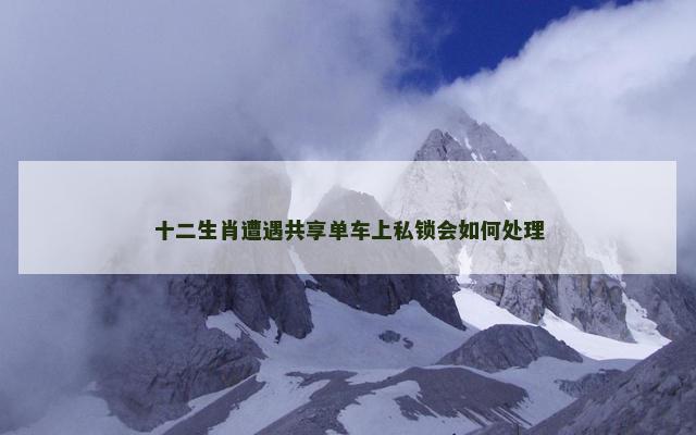 十二生肖遭遇共享单车上私锁会如何处理