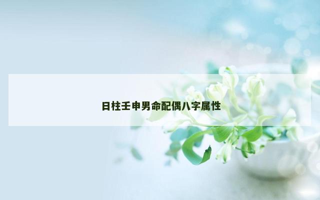 日柱壬申男命配偶八字属性