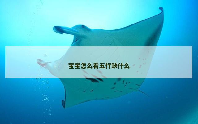 宝宝怎么看五行缺什么