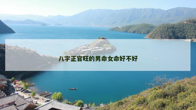 八字正官旺的男命女命好不好